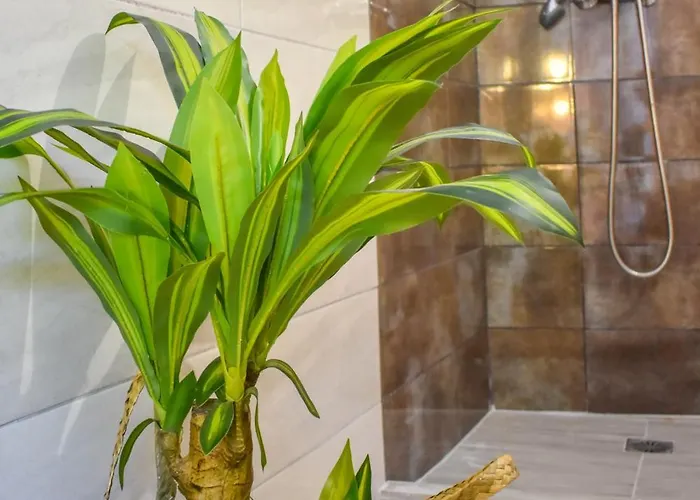 Bonsai 아파트호텔 스키아토스 타운