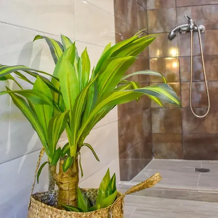 Bonsai Hotel apartamentowy Skiatos